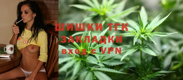 мет Алексин