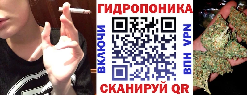 Конопля SATIVA & INDICA  ссылка на мегу   Качканар  что такое  